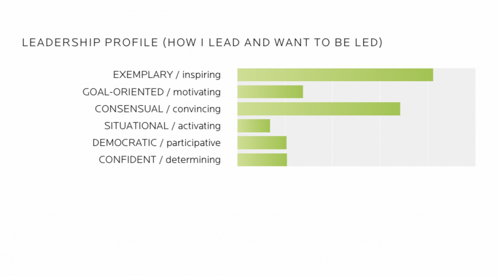 leadership profile